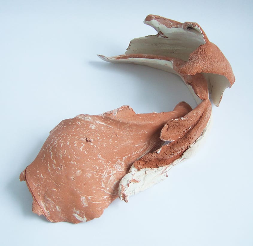 Sally Aitken
