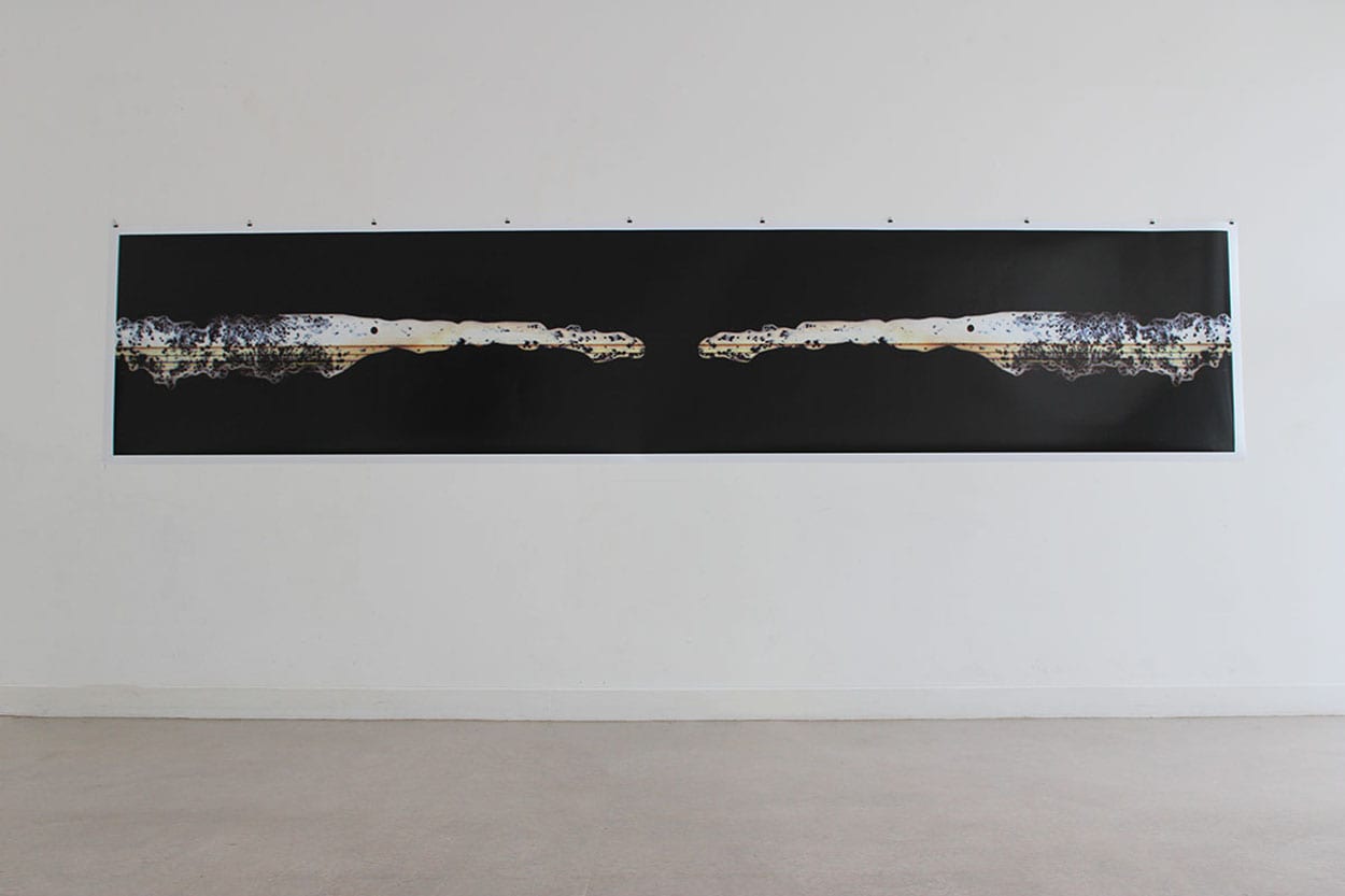 Helena Kiely