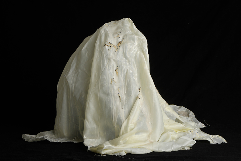 Amy Bowdren